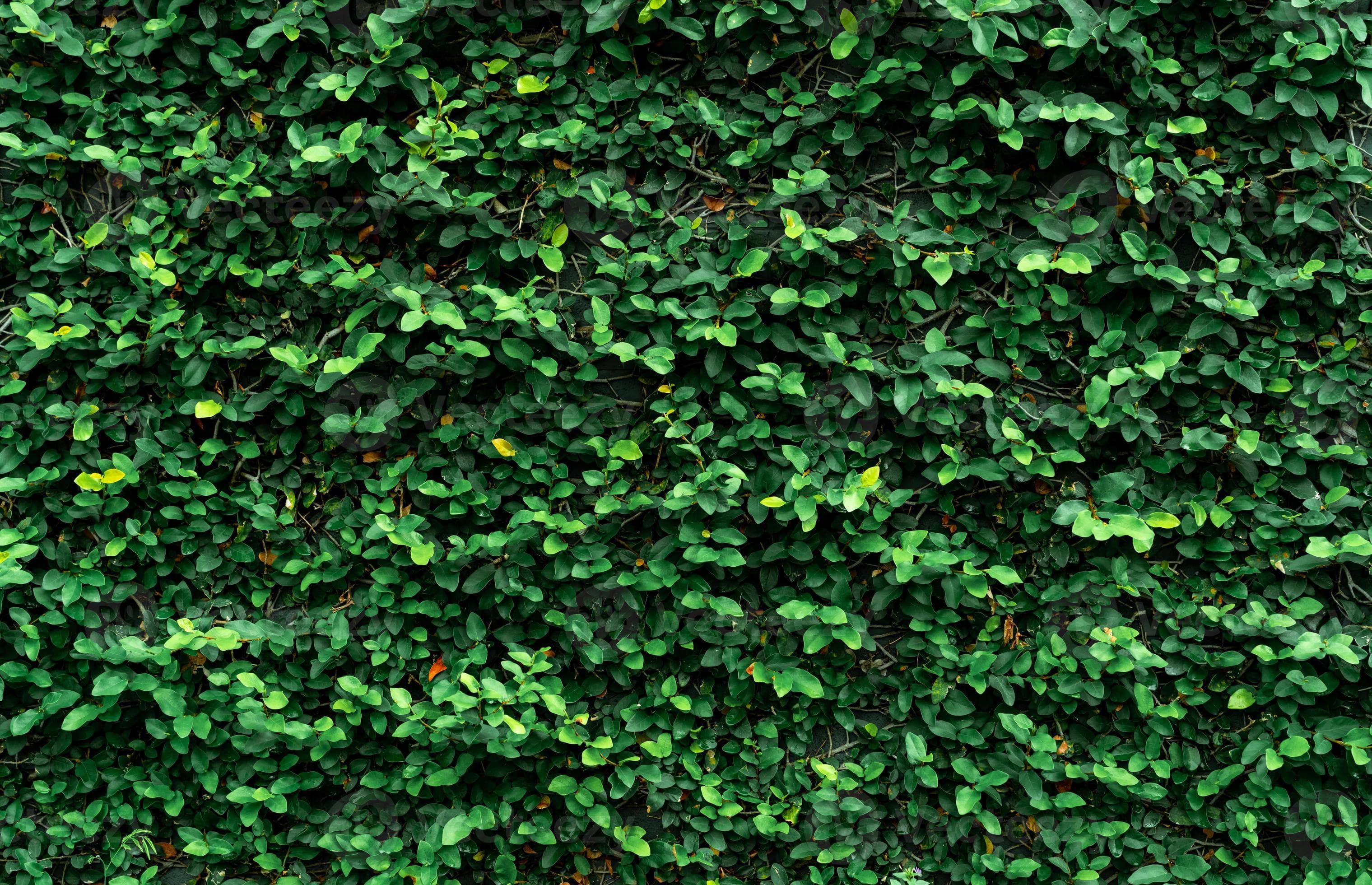 Interior del restaurante